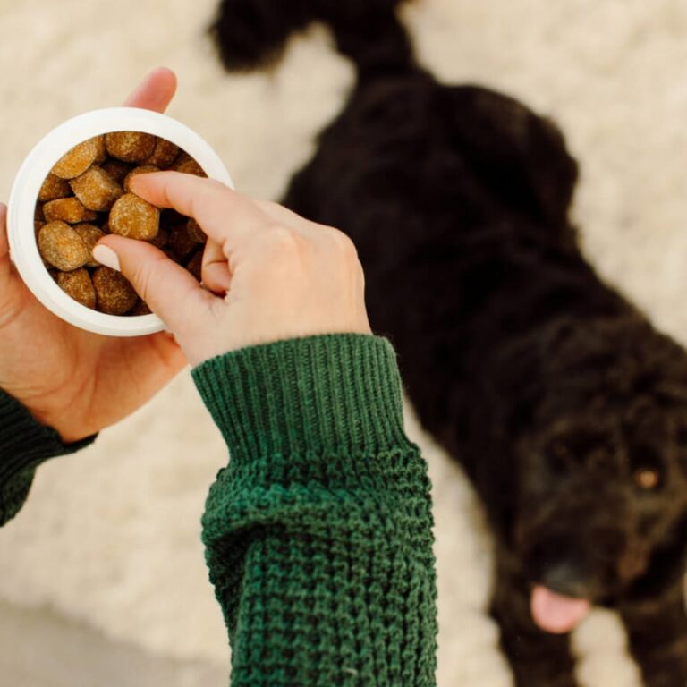 Love2Dogs Revolutionary HumanGrade Multivitamin For Dogs